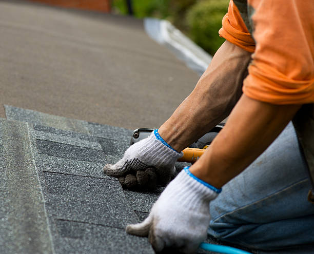 Roof Gutter Cleaning in Yazoo City, MS